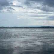 ヒメ日記 2026/01/28 07:44 投稿 たまき 完熟ばなな梅田