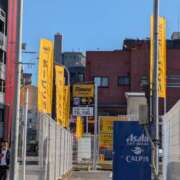 ヒメ日記 2025/11/21 10:54 投稿 あおい ナポレオン