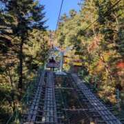 ヒメ日記 2025/11/23 07:20 投稿 あおい ナポレオン