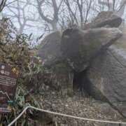 ヒメ日記 2026/02/24 21:35 投稿 あおい ナポレオン