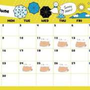 ヒメ日記 2025/06/10 13:31 投稿 あかり ナポレオン