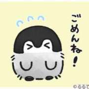 あかり ごめんなさい🥺 ナポレオン