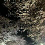 ヒメ日記 2026/04/02 23:45 投稿 アズサ ナポレオン