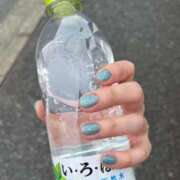 ヒメ日記 2025/06/08 22:51 投稿 ことり ナポレオン