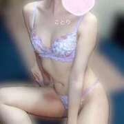 ヒメ日記 2025/07/19 14:05 投稿 ことり ナポレオン