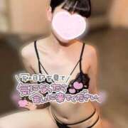 ヒメ日記 2025/07/31 11:24 投稿 ことり ナポレオン