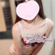 ヒメ日記 2025/08/04 16:24 投稿 ことり ナポレオン