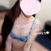 ヒメ日記 2025/10/07 12:07 投稿 ことり ナポレオン