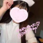 ヒメ日記 2025/11/03 21:09 投稿 ことり ナポレオン