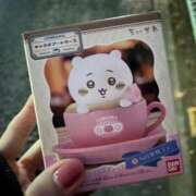 ヒメ日記 2025/11/04 19:23 投稿 ことり ナポレオン