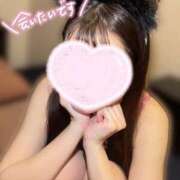 ヒメ日記 2025/11/05 22:22 投稿 ことり ナポレオン