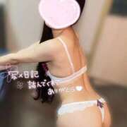 ヒメ日記 2025/11/08 12:11 投稿 ことり ナポレオン