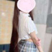 ヒメ日記 2026/01/26 09:41 投稿 ことり ナポレオン