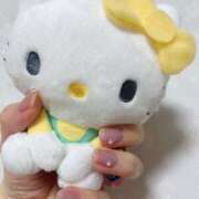 ヒメ日記 2026/03/11 01:31 投稿 ことり ナポレオン