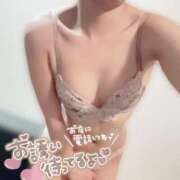 ヒメ日記 2026/05/19 21:46 投稿 ことり ナポレオン