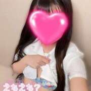 ことり 🍓たくさん⭐️ ナポレオン