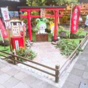 しずか お久しぶりです ナポレオン