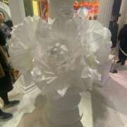 ヒメ日記 2026/03/17 18:23 投稿 しずか ナポレオン