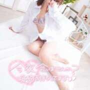 ヒメ日記 2025/05/03 17:45 投稿 しのぶ ナポレオン