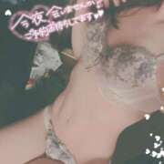 ヒメ日記 2025/05/30 18:46 投稿 しのぶ ナポレオン