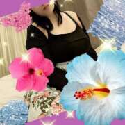 ヒメ日記 2025/07/27 19:21 投稿 ナナ ナポレオン