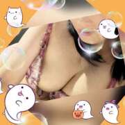 ヒメ日記 2025/10/06 07:47 投稿 ナナ ナポレオン