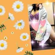 ヒメ日記 2026/04/10 08:14 投稿 ナナ ナポレオン