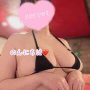 ヒメ日記 2025/06/27 14:15 投稿 のの ナポレオン