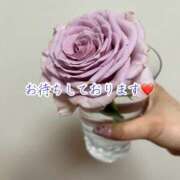 ヒメ日記 2025/09/21 18:03 投稿 のの ナポレオン