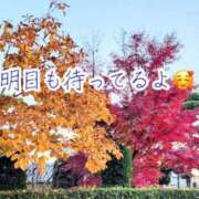 ヒメ日記 2025/10/13 19:03 投稿 のの ナポレオン