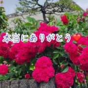 ヒメ日記 2025/10/15 12:10 投稿 のの ナポレオン