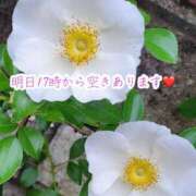 ヒメ日記 2025/10/18 14:11 投稿 のの ナポレオン