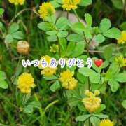 ヒメ日記 2025/10/25 20:15 投稿 のの ナポレオン