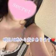 ヒメ日記 2025/10/27 13:26 投稿 のの ナポレオン