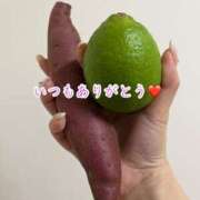 ヒメ日記 2025/10/30 16:07 投稿 のの ナポレオン