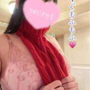 ヒメ日記 2025/11/12 12:08 投稿 のの ナポレオン