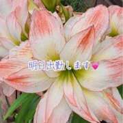 ヒメ日記 2026/02/05 21:43 投稿 のの ナポレオン