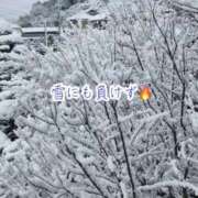 ヒメ日記 2026/02/08 12:51 投稿 のの ナポレオン