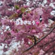 ヒメ日記 2026/02/25 14:09 投稿 のの ナポレオン