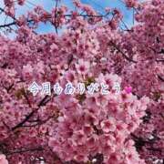 ヒメ日記 2026/02/28 21:57 投稿 のの ナポレオン