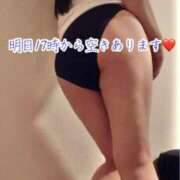 ヒメ日記 2026/03/30 14:22 投稿 のの ナポレオン