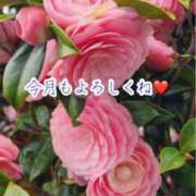 ヒメ日記 2026/04/01 18:06 投稿 のの ナポレオン