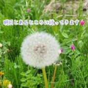 ヒメ日記 2026/04/08 20:33 投稿 のの ナポレオン