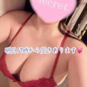 ヒメ日記 2026/05/25 13:06 投稿 のの ナポレオン