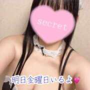 ヒメ日記 2026/06/18 21:40 投稿 のの ナポレオン