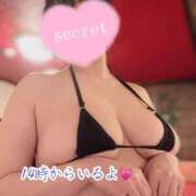 ヒメ日記 2026/06/30 09:33 投稿 のの ナポレオン