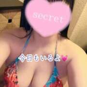 ヒメ日記 2026/08/14 12:42 投稿 のの ナポレオン