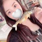 ヒメ日記 2025/04/29 12:03 投稿 はるか ナポレオン