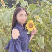 ヒメ日記 2025/06/11 12:15 投稿 はるか ナポレオン