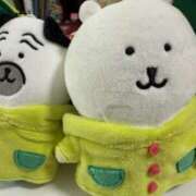 ヒメ日記 2025/07/18 08:49 投稿 ひなこ ナポレオン